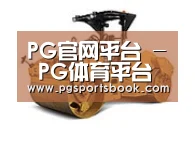 PG官网第二系列